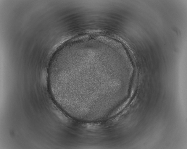 X0000113310345200910051109