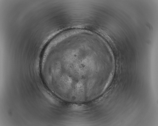 X0000113310346200910051109