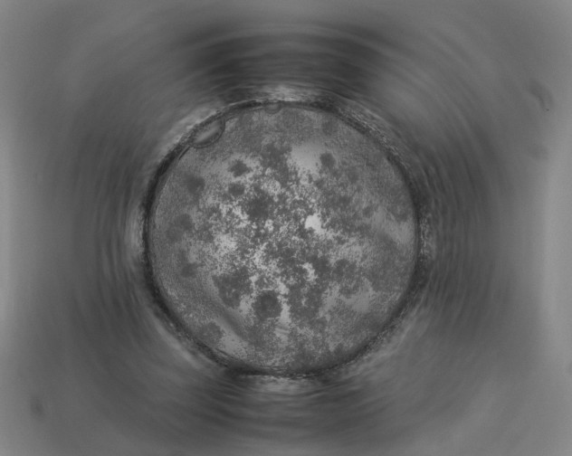 X0000113310347200910051109