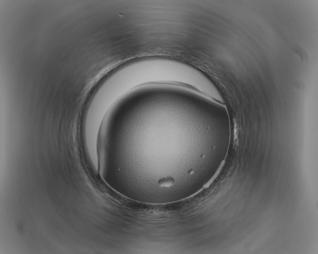 X0000113310348200910051109