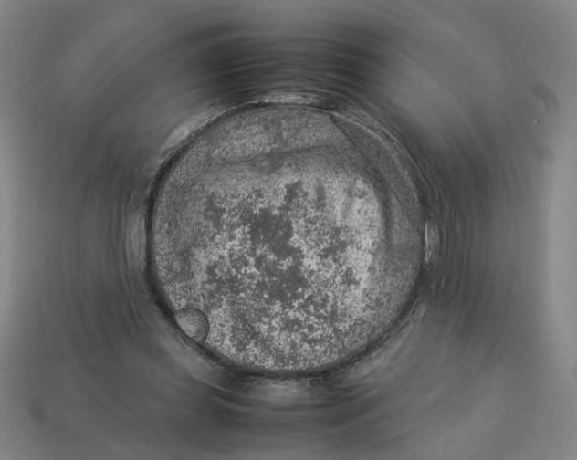 X0000113310349200910051109