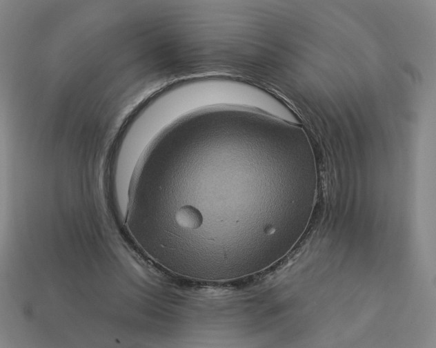 X0000113310350200910051109