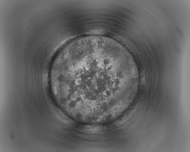 X0000113310351200910051109