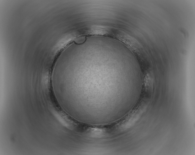 X0000113310352200910051109