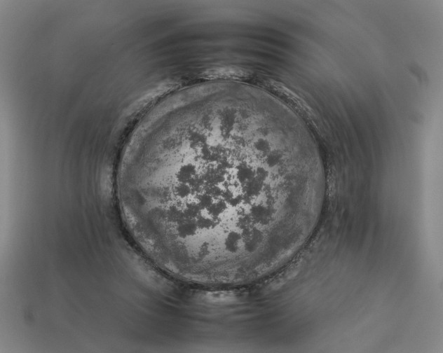 X0000113310353200910051109