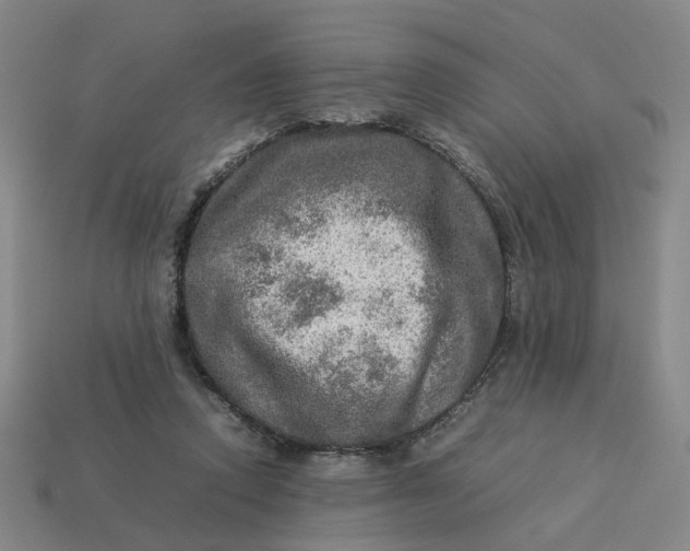 X0000113310354200910051109