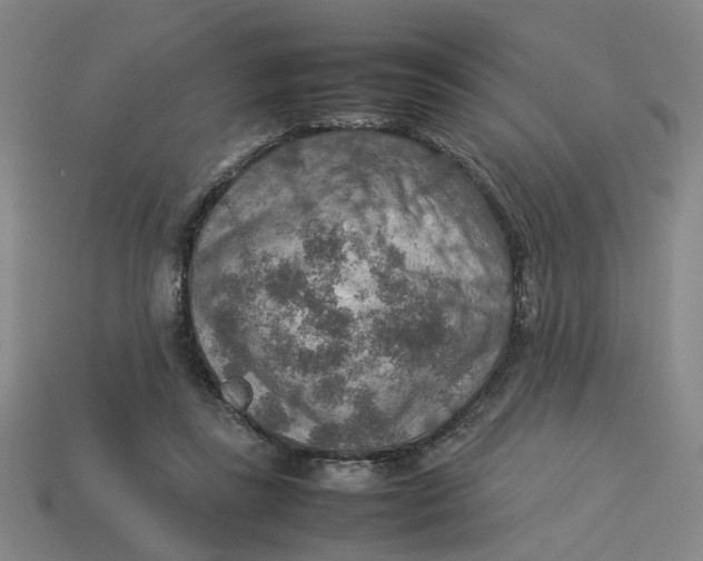 X0000113310355200910051109