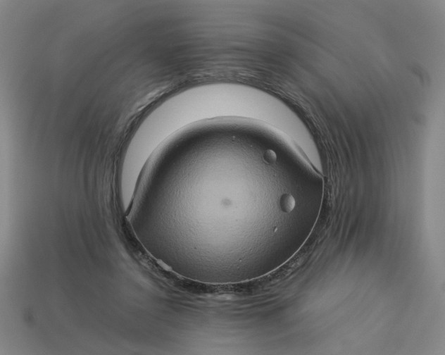 X0000113310356200910051109