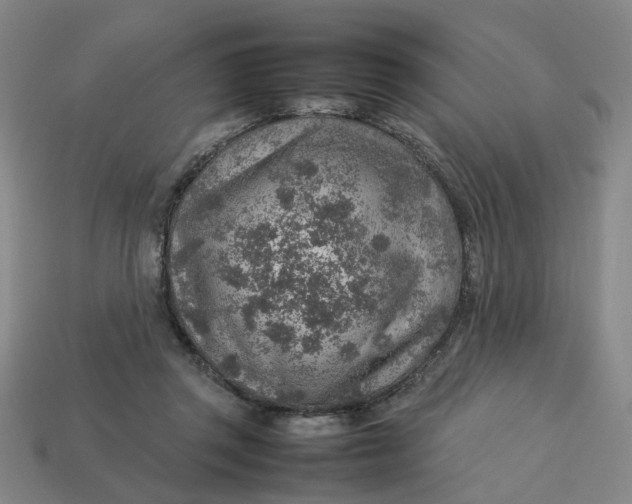 X0000113310357200910051109