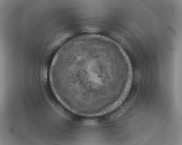 X0000113310358200910051109