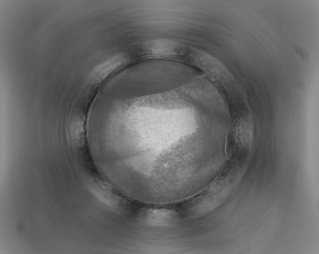 X0000113310360200910051109