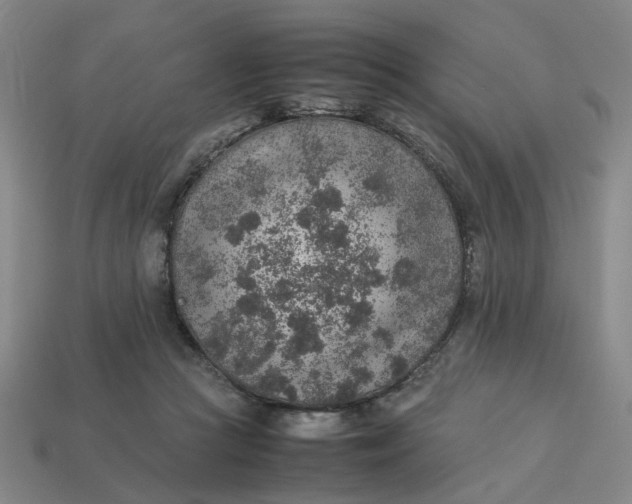 X0000113310361200910051109