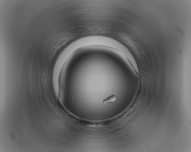 X0000113310362200910051109