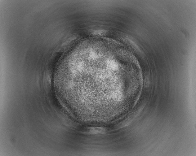 X0000113310363200910051109