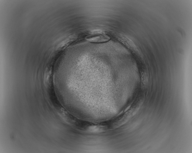 X0000113310364200910051109