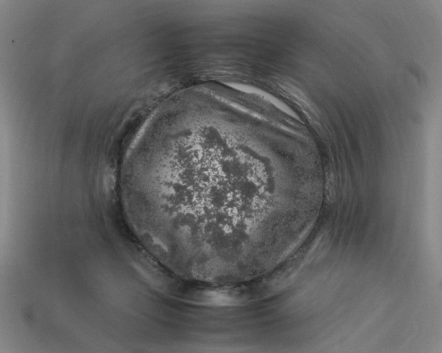 X0000113310365200910051109