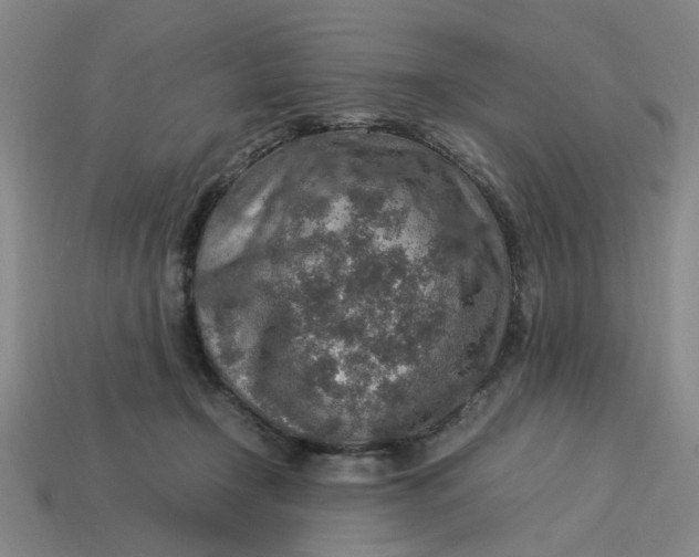 X0000113310366200910051109