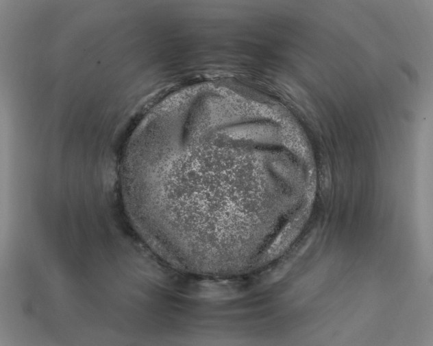 X0000113310367200910051109