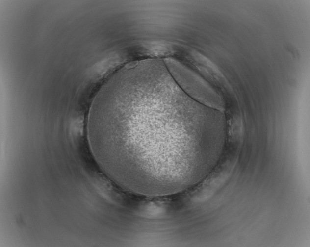 X0000113310368200910051109