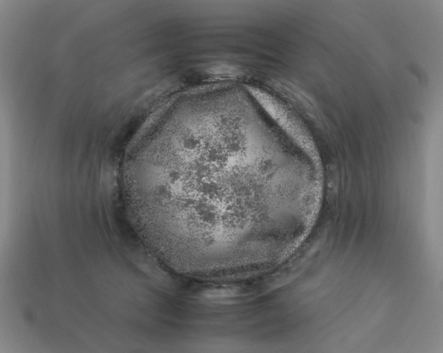 X0000113310369200910051109