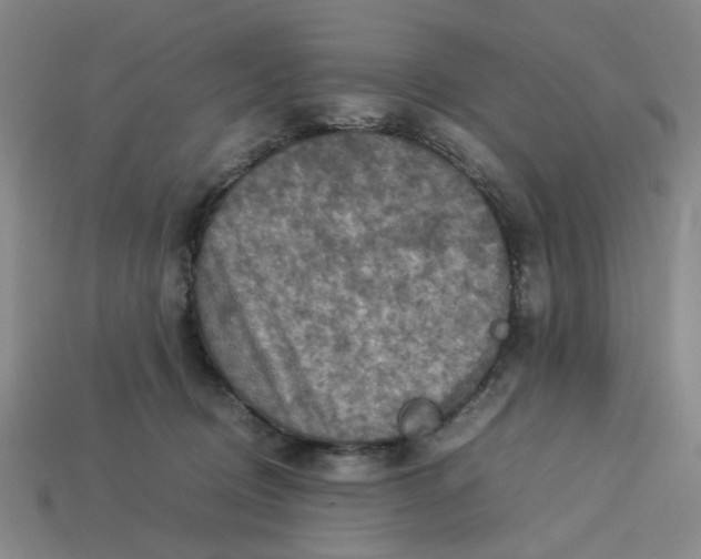 X0000113310370200910051109