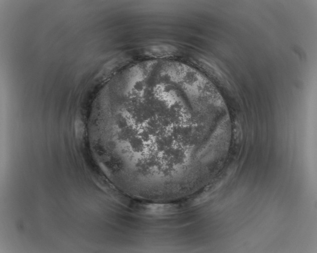 X0000113310371200910051109