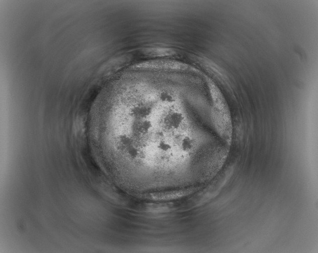 X0000113310373200910051109