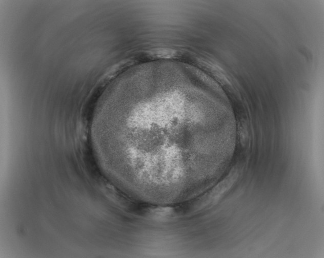 X0000113310374200910051109