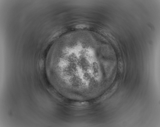 X0000113310375200910051109