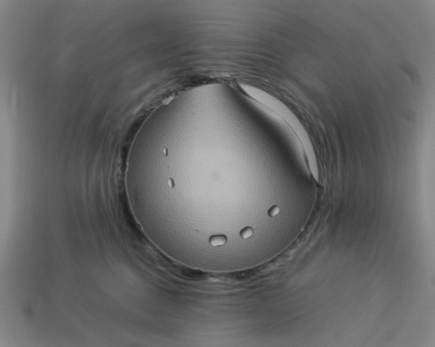 X0000113310376200910051109