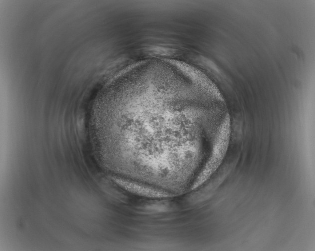 X0000113310377200910051109