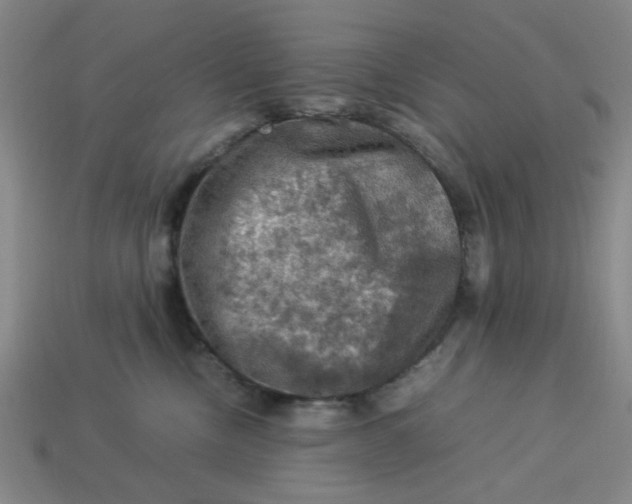 X0000113310378200910051109