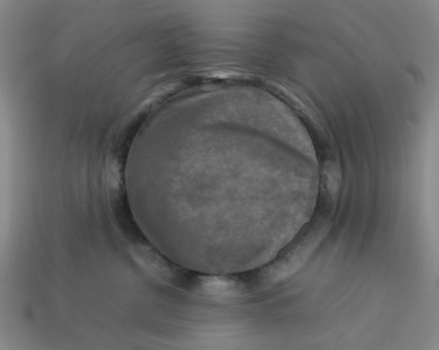 X0000113310380200910051109