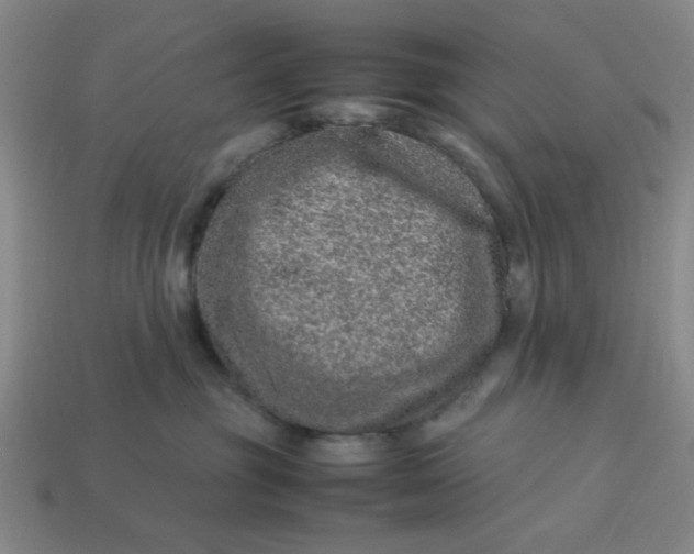 X0000113310381200910051109