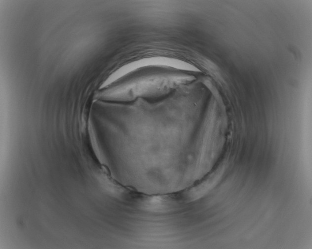 X0000113310382200910051109