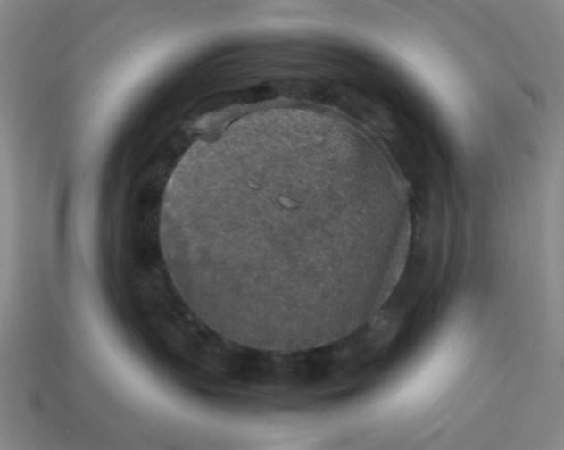 X0000113310383200910051109