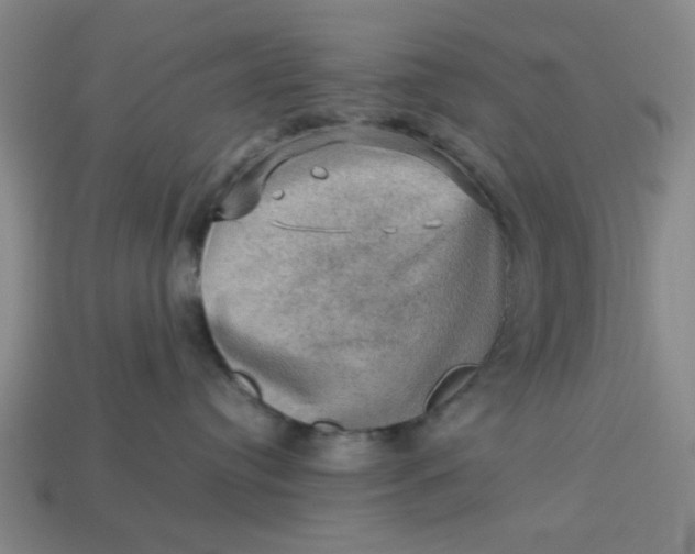 X0000113310384200910051109