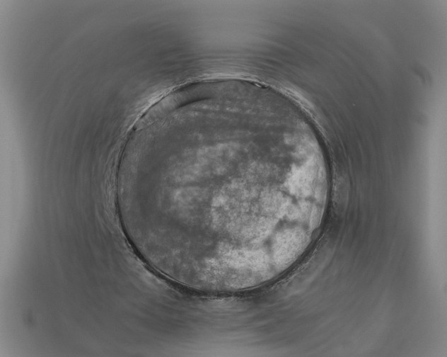 X0000113310385200910051109