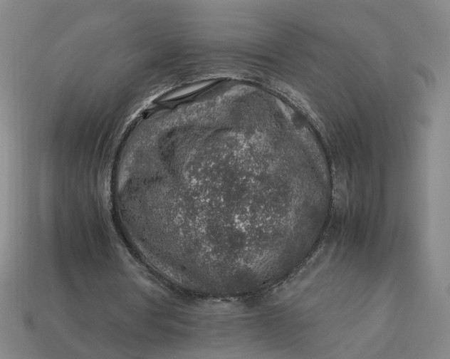 X0000113310386200910051109