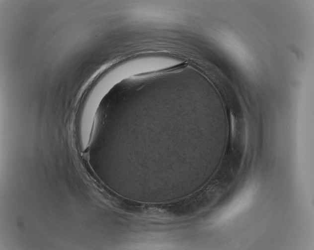 X0000113310387200910051109