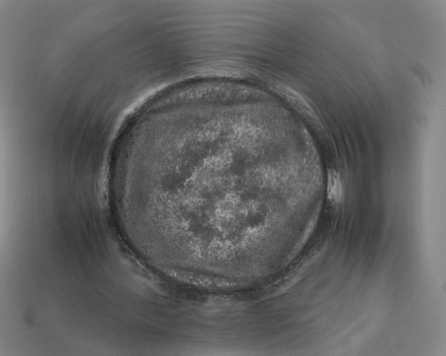 X0000113310388200910051109