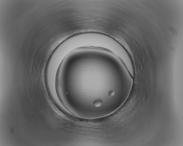 X0000113310389200910051109