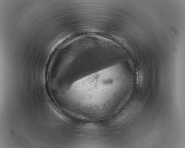 X0000113310390200910051109