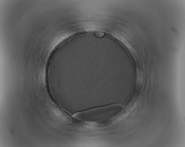 X0000113310391200910051109