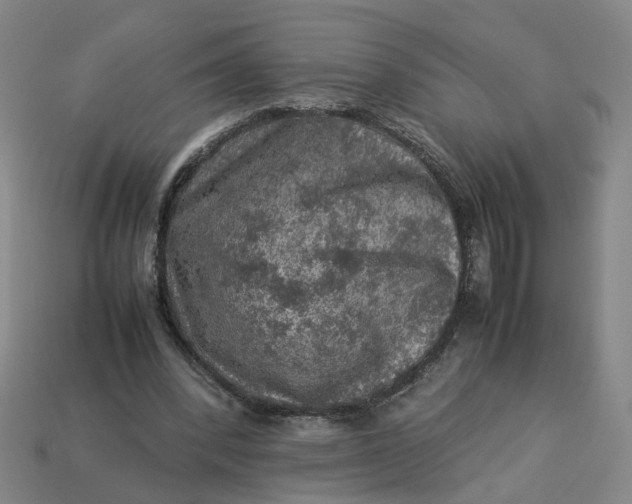 X0000113310392200910051108