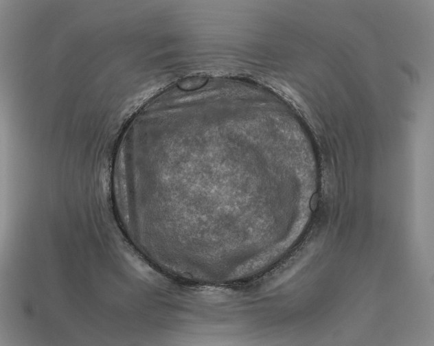 X0000113310393200910051108