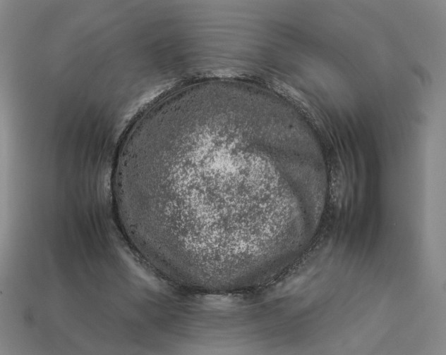 X0000113310394200910051108