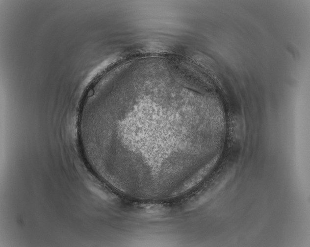 X0000113310395200910051108