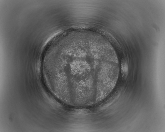 X0000113310396200910051108