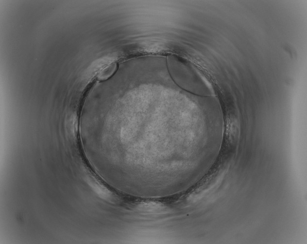 X0000113310397200910051108